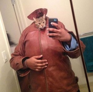 funny-cat-selfie-human-body
